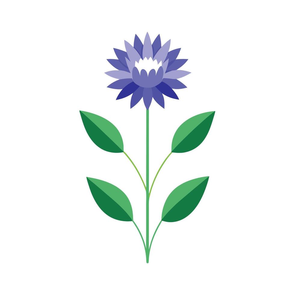 Beautiful Flower Minimalist Floral Illustration vector