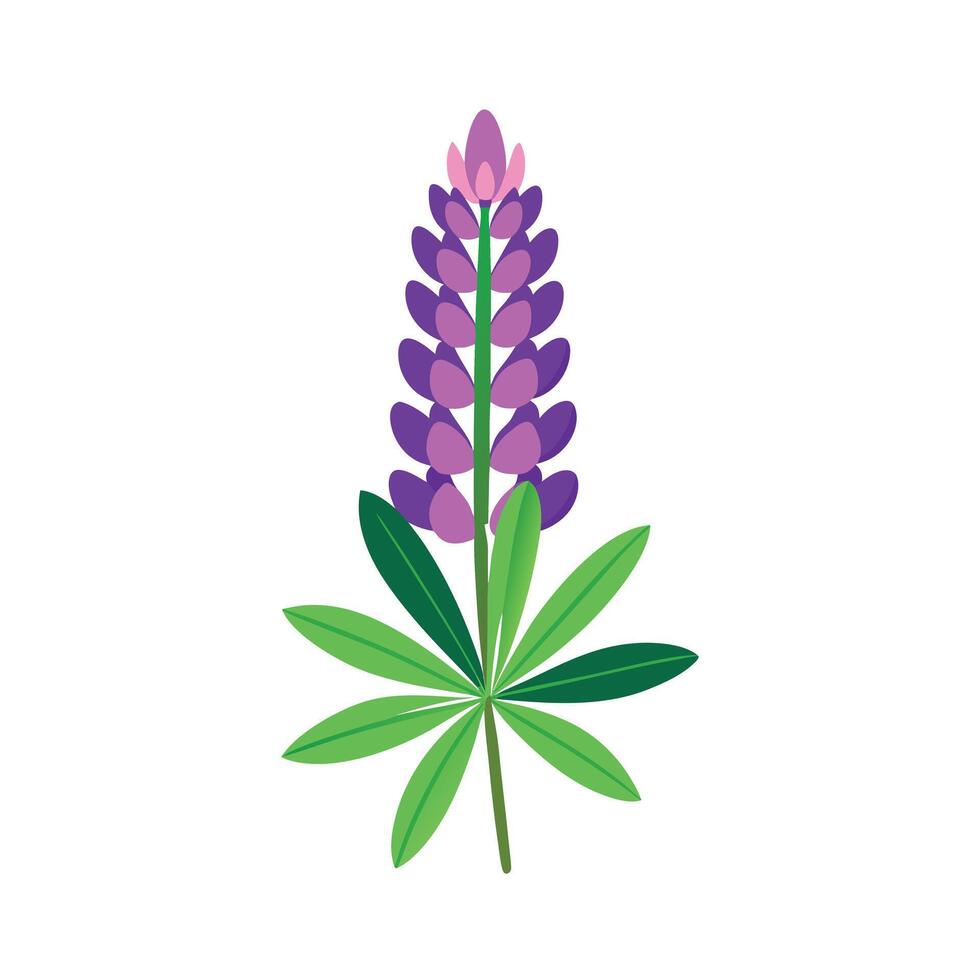 Beautiful Flower Minimalist Floral Illustration vector