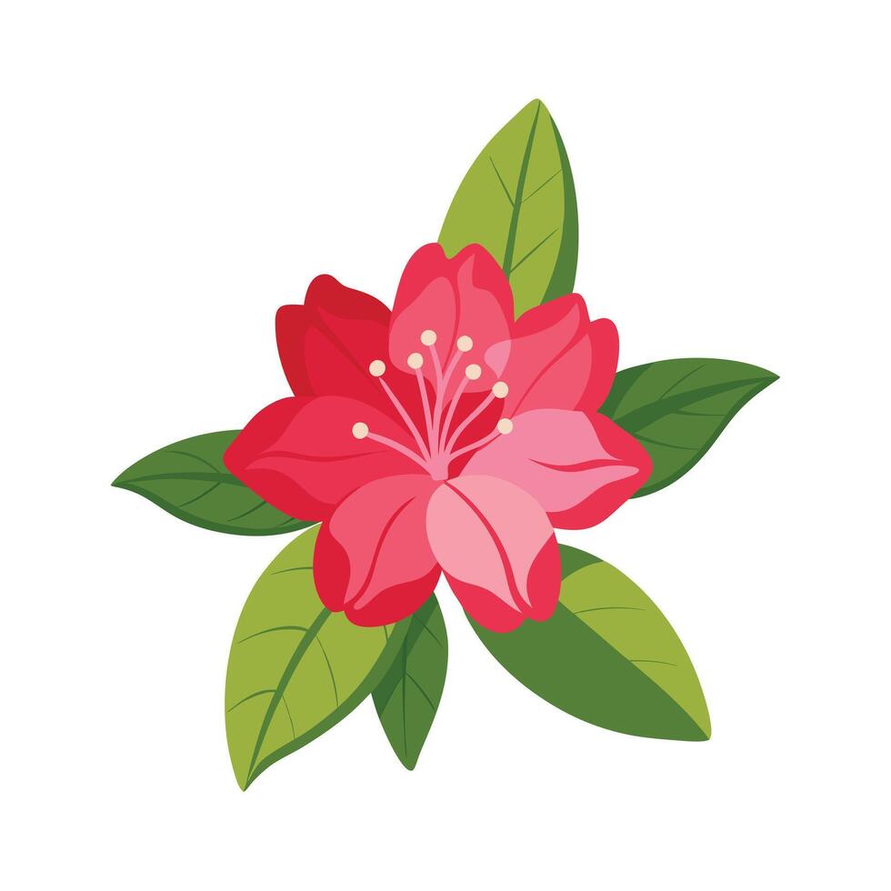 Beautiful Flower Minimalist Floral Illustration vector