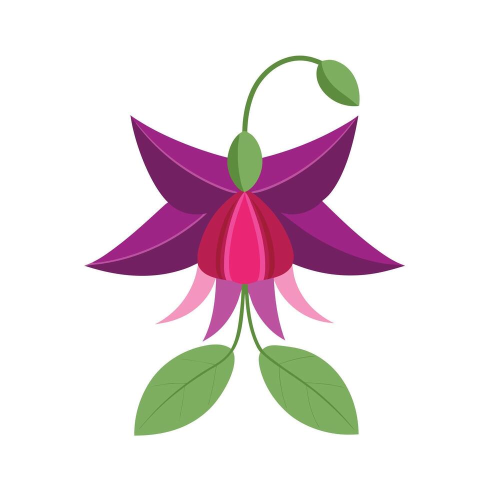 Beautiful Flower Minimalist Floral Illustration vector