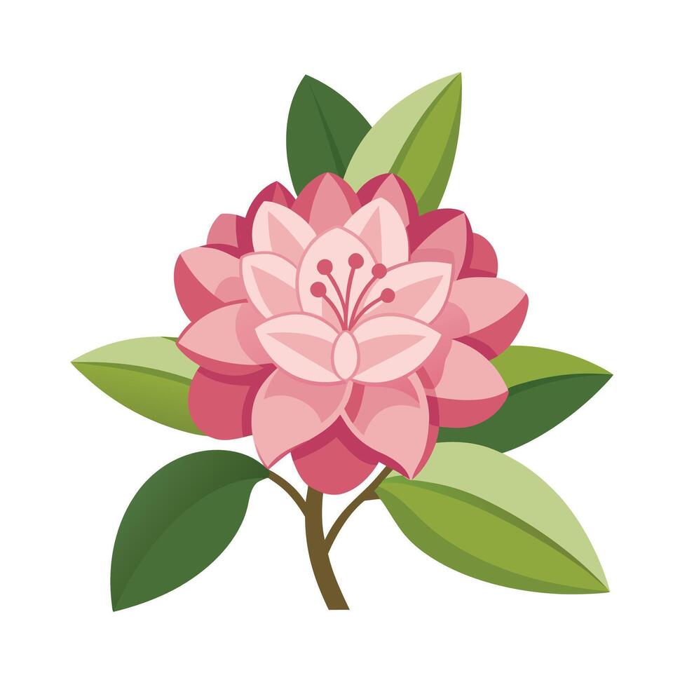 Beautiful Flower Minimalist Floral Illustration vector