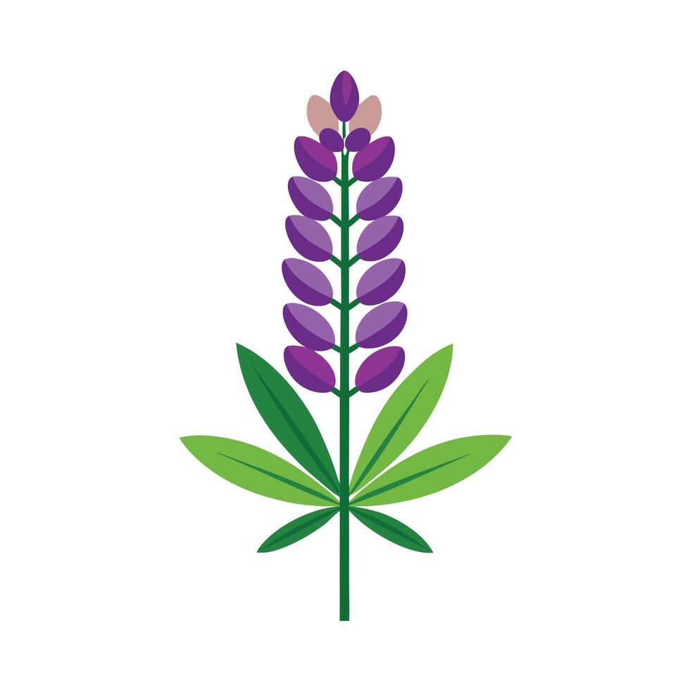 Beautiful Flower Minimalist Floral Illustration vector