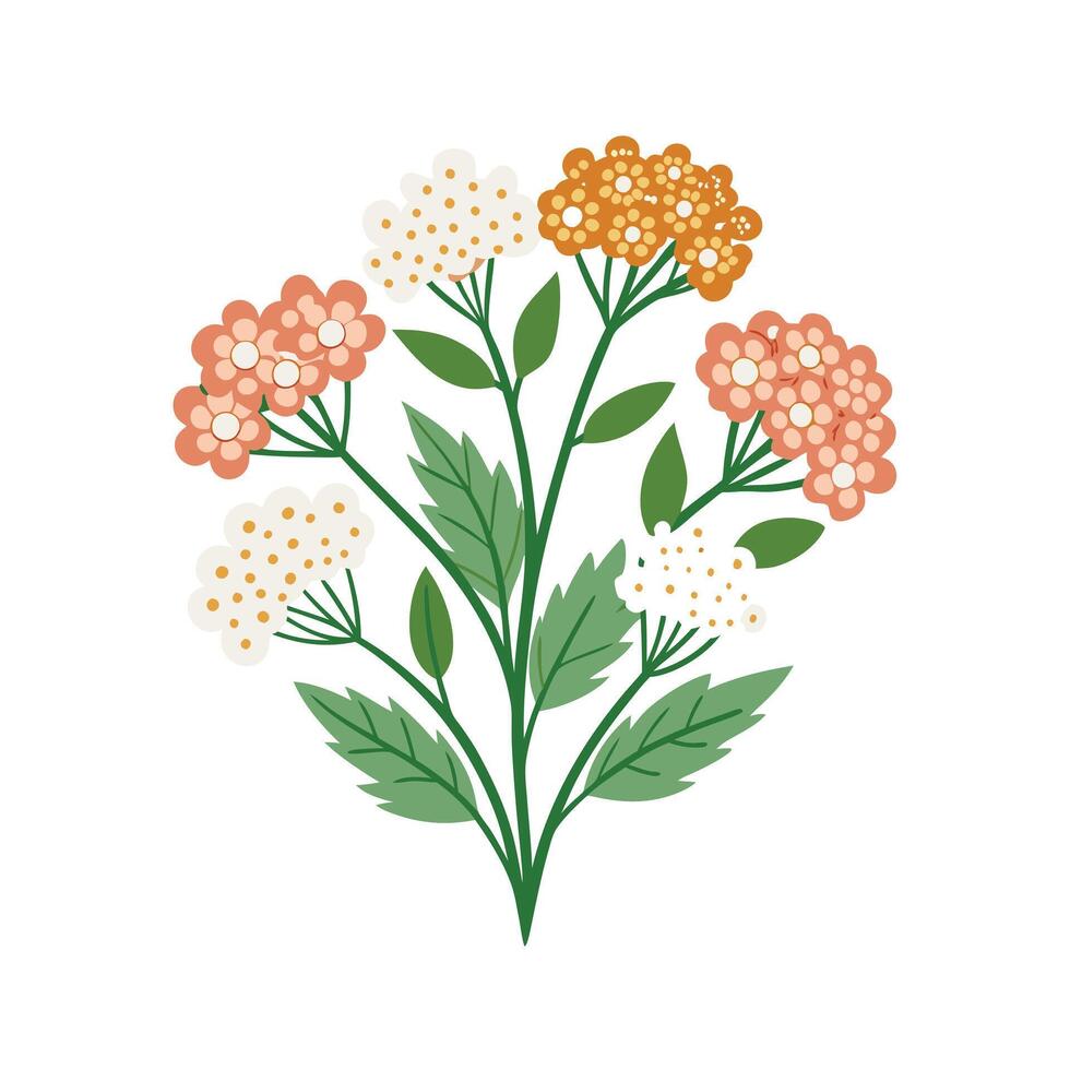 Beautiful Flower Minimalist Floral Illustration vector