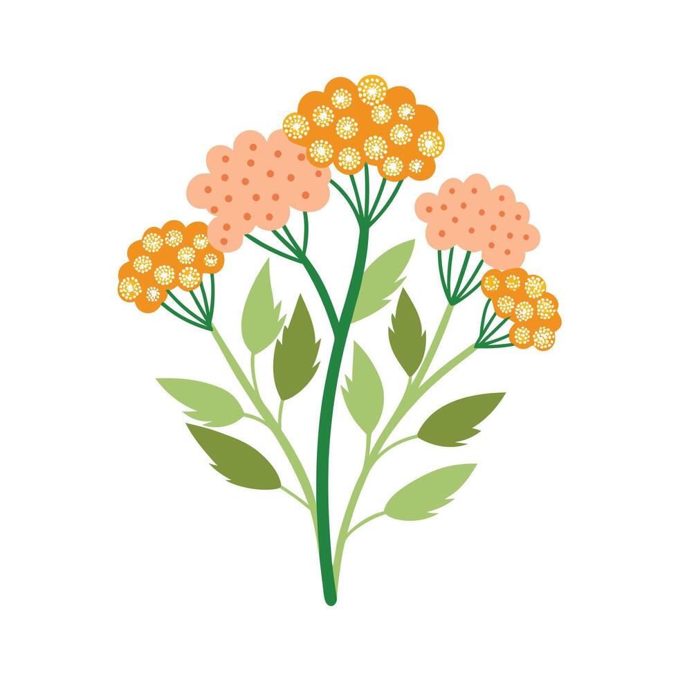 Beautiful Flower Minimalist Floral Illustration vector