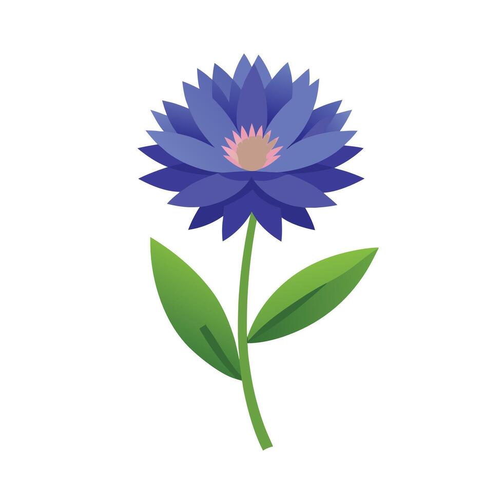 Beautiful Flower Minimalist Floral Illustration vector