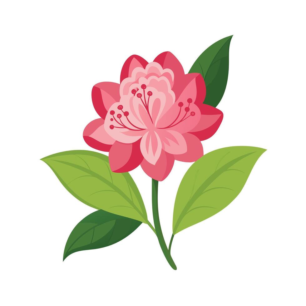Beautiful Flower Minimalist Floral Illustration vector