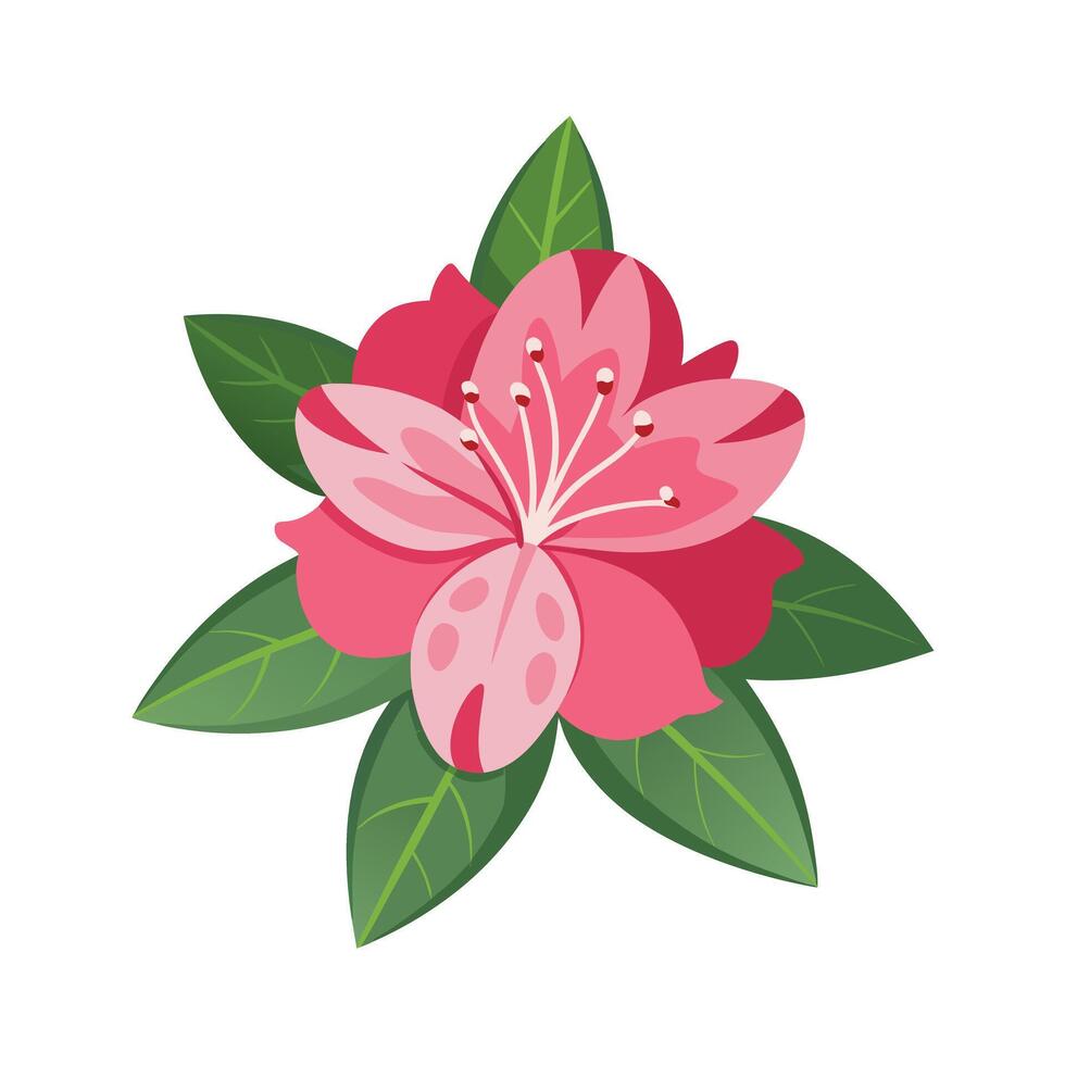 Beautiful Flower Minimalist Floral Illustration vector