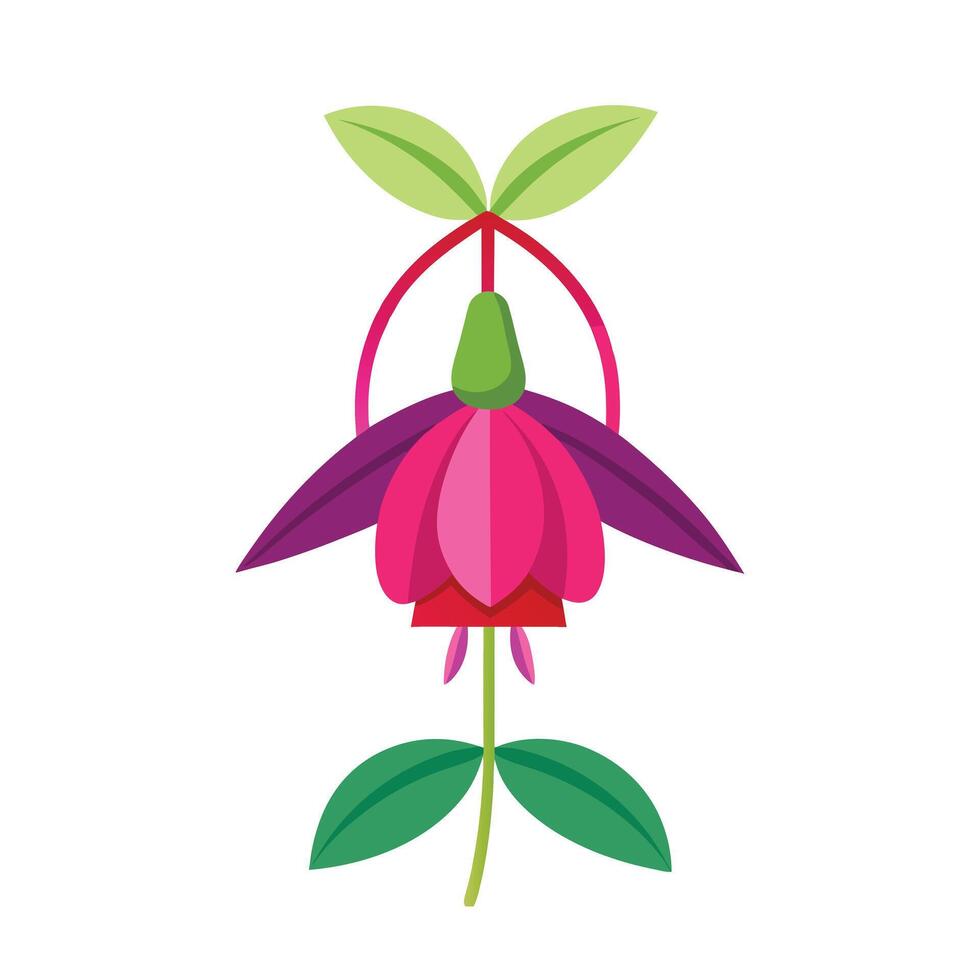 Beautiful Flower Minimalist Floral Illustration vector