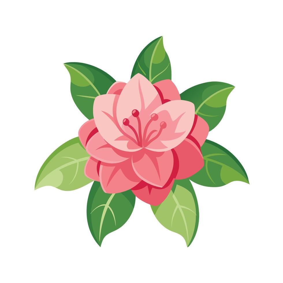 Beautiful Flower Minimalist Floral Illustration vector