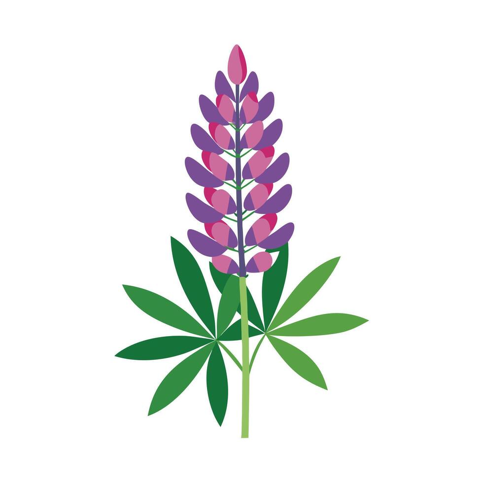 Beautiful Flower Minimalist Floral Illustration vector