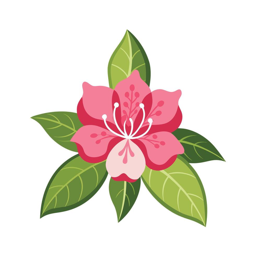 Beautiful Flower Minimalist Floral Illustration vector