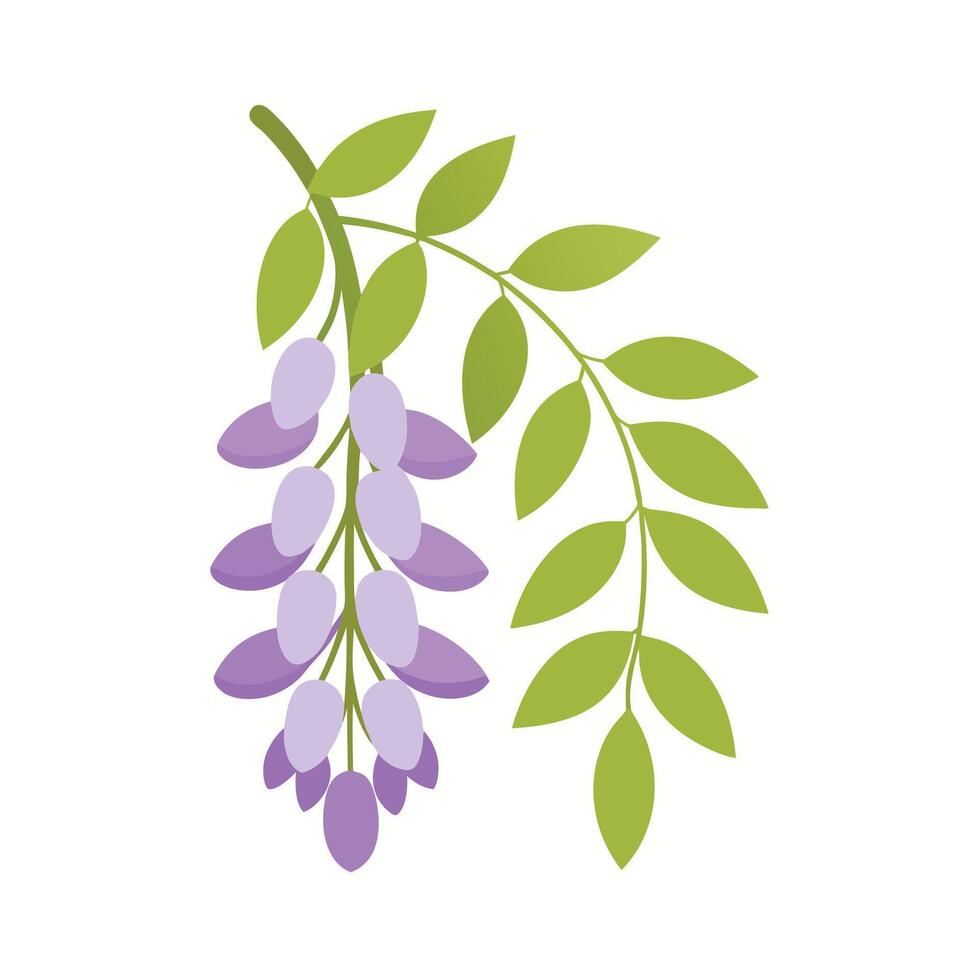 Beautiful Flower Minimalist Floral Illustration vector