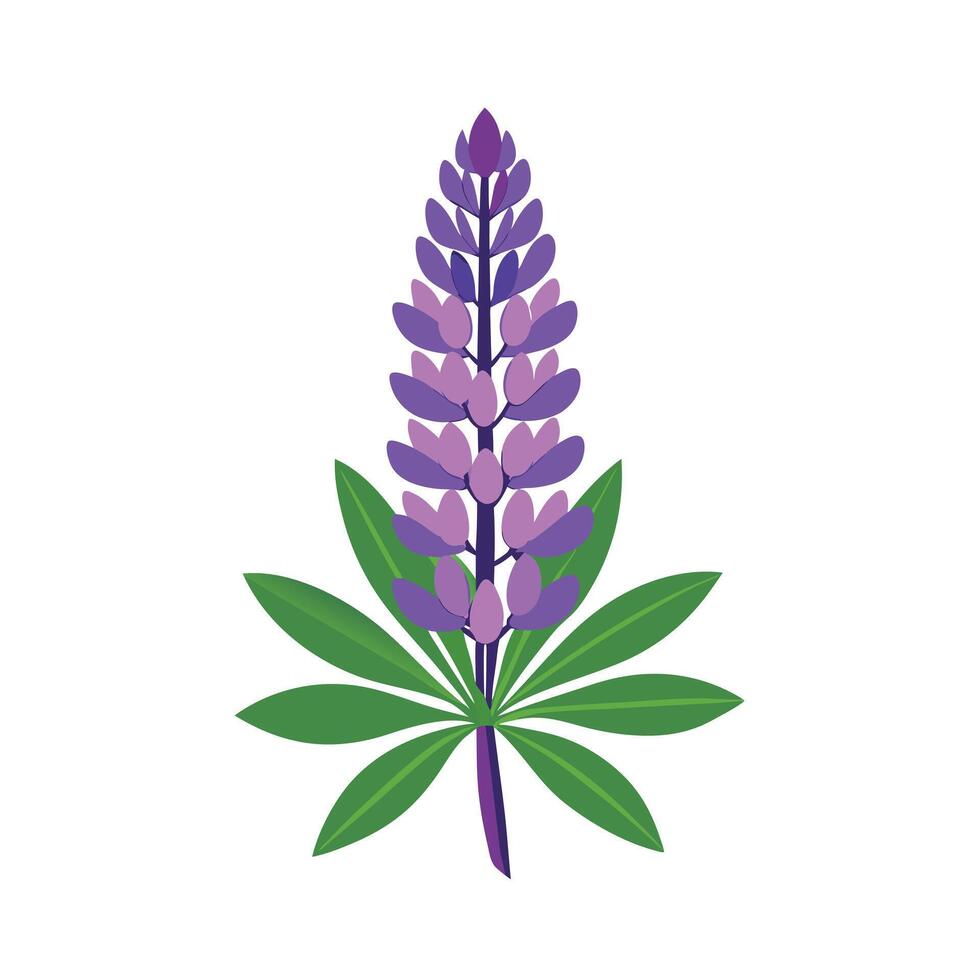Beautiful Flower Minimalist Floral Illustration vector