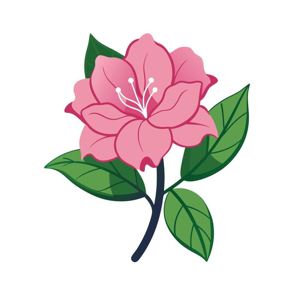 Beautiful Flower Minimalist Floral Illustration vector