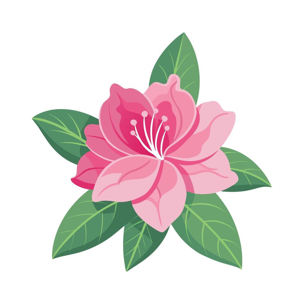Beautiful Flower Minimalist Floral Illustration vector