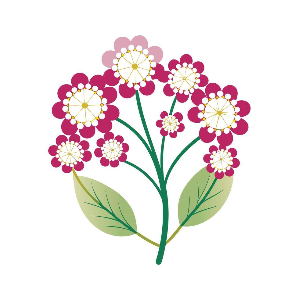 Beautiful Flower Minimalist Floral Illustration vector