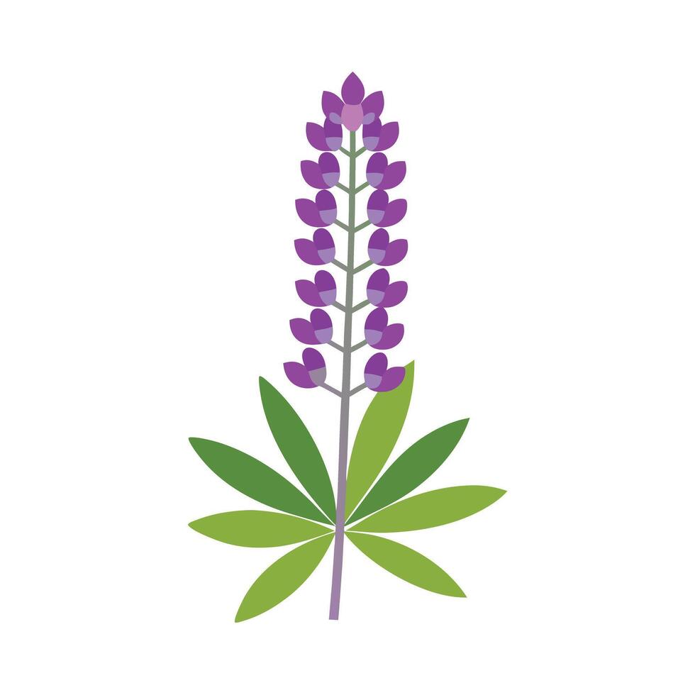 Beautiful Flower Minimalist Floral Illustration vector