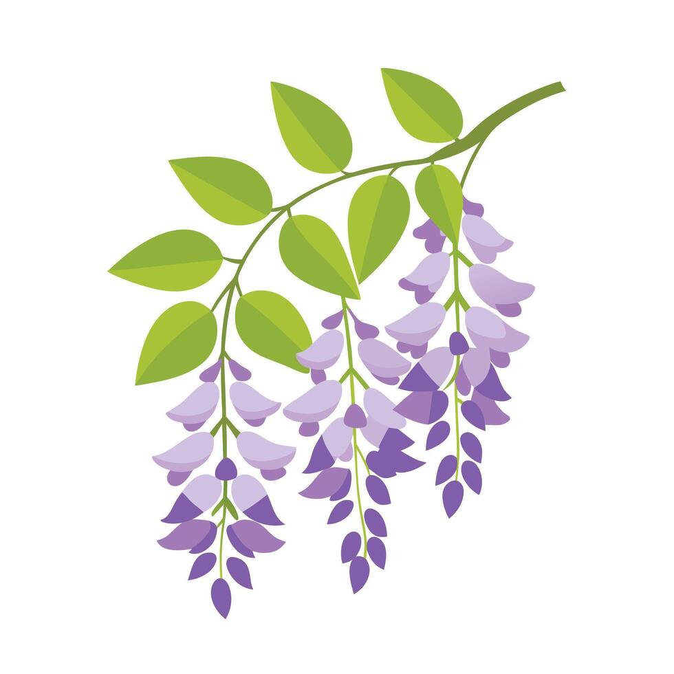 Beautiful Flower Minimalist Floral Illustration vector
