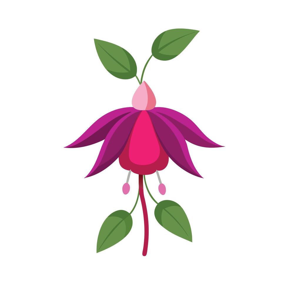 Beautiful Flower Minimalist Floral Illustration vector