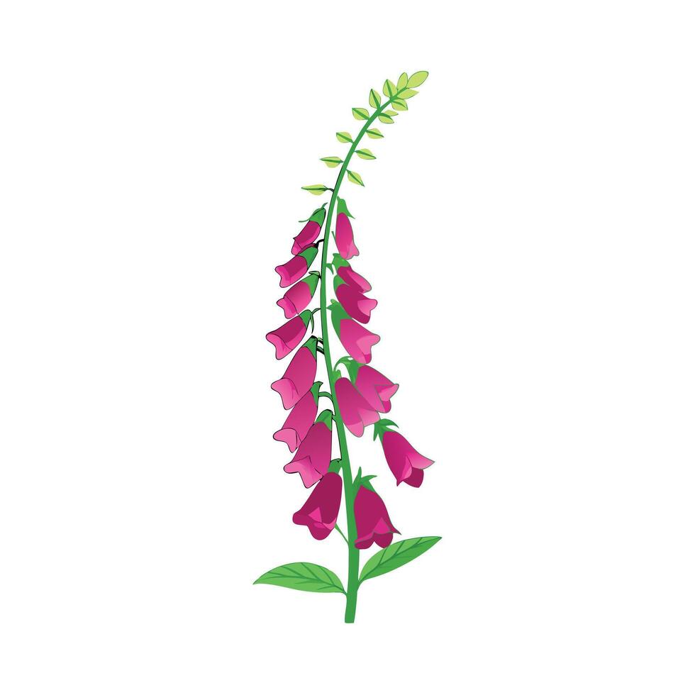 Beautiful Flower Minimalist Floral Illustration vector