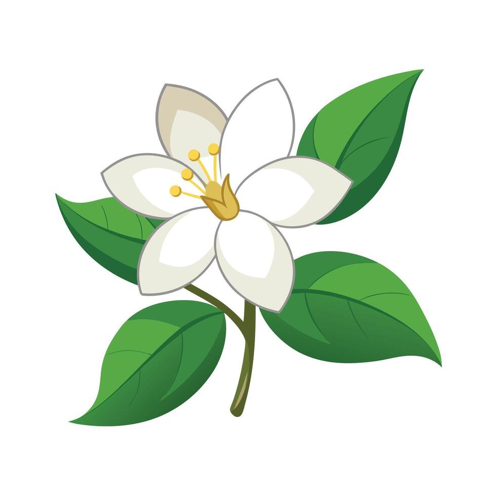 Beautiful Flower Minimalist Floral Illustration vector
