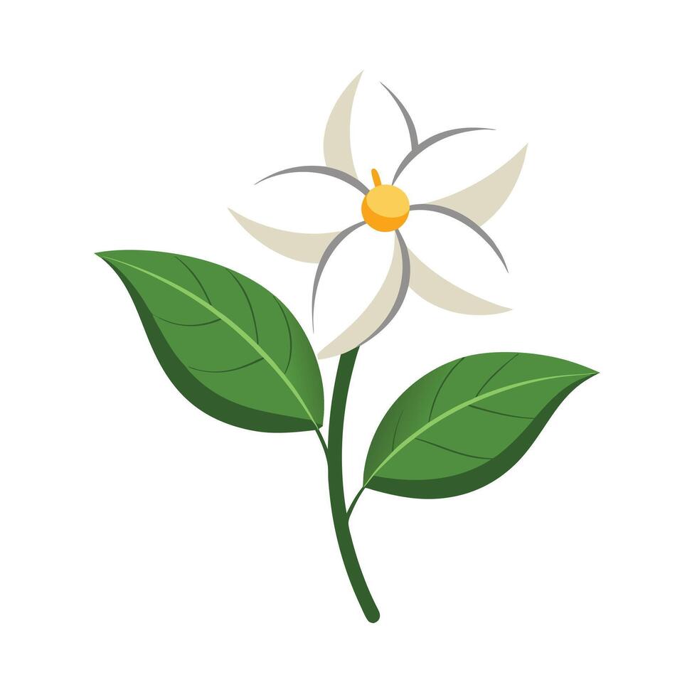 Beautiful Flower Minimalist Floral Illustration vector
