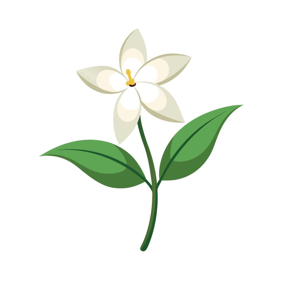 Beautiful Flower Minimalist Floral Illustration vector