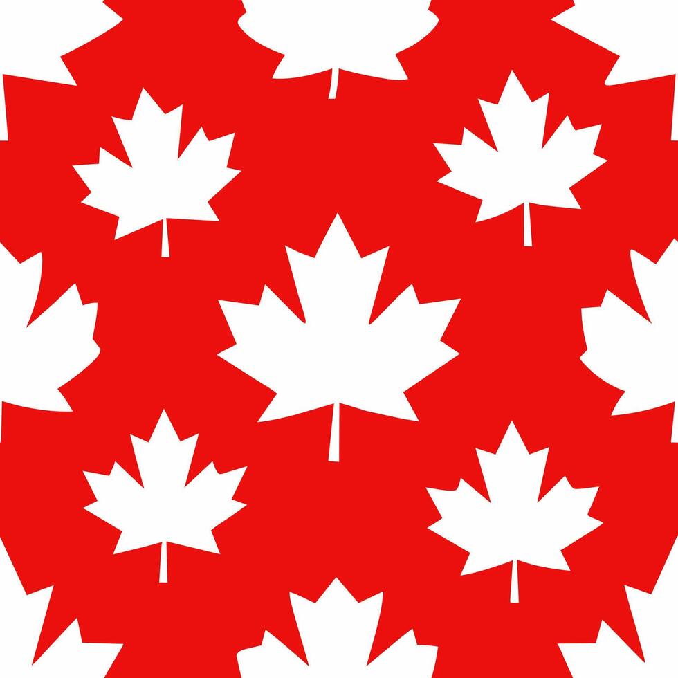 White Maple Leaves on Red Background vector