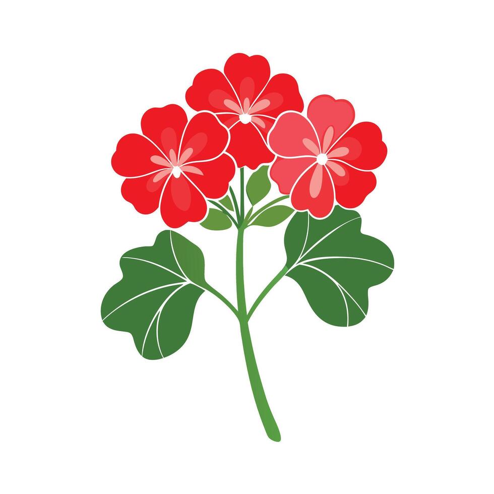 Beautiful Flower Minimalist Floral Illustration vector