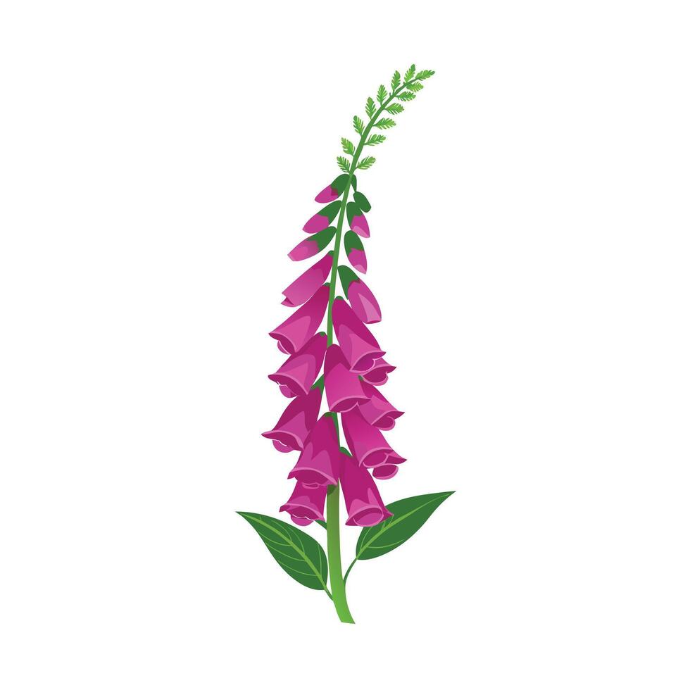 Beautiful Flower Minimalist Floral Illustration vector