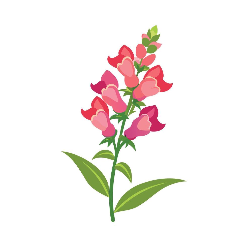 Beautiful Flower Minimalist Floral Illustration vector
