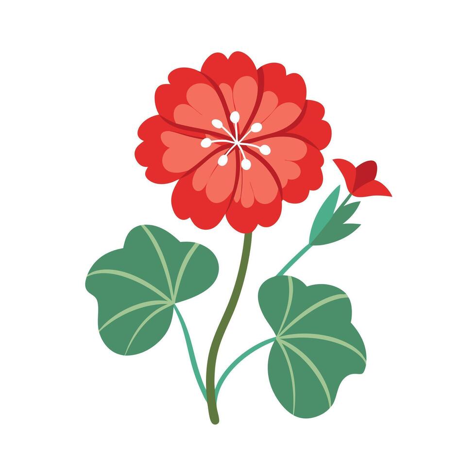 Beautiful Flower Minimalist Floral Illustration vector