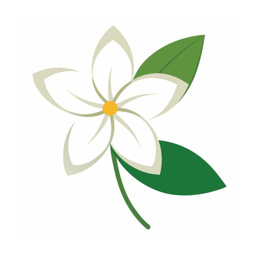 Beautiful Flower Minimalist Floral Illustration vector