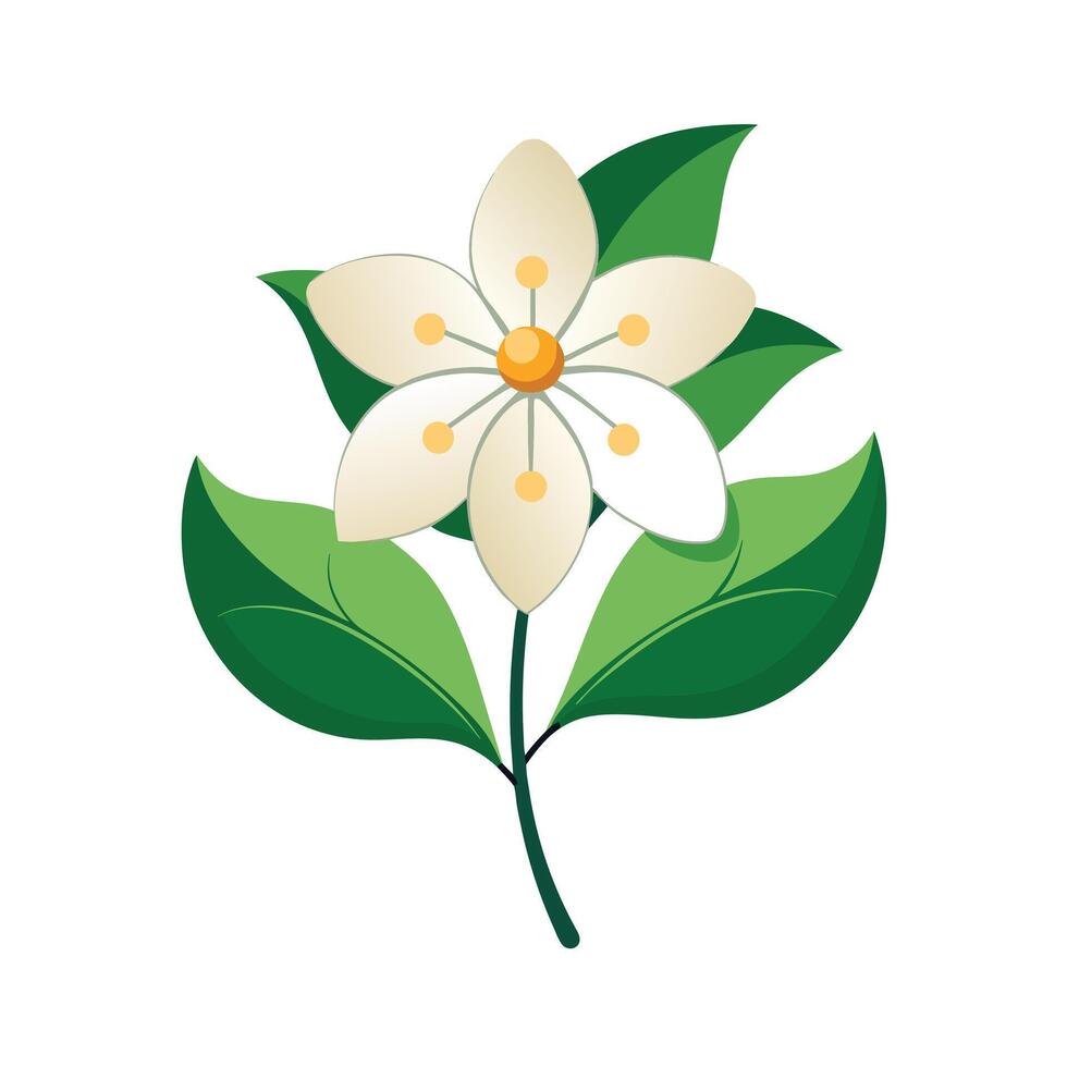 Beautiful Flower Minimalist Floral Illustration vector