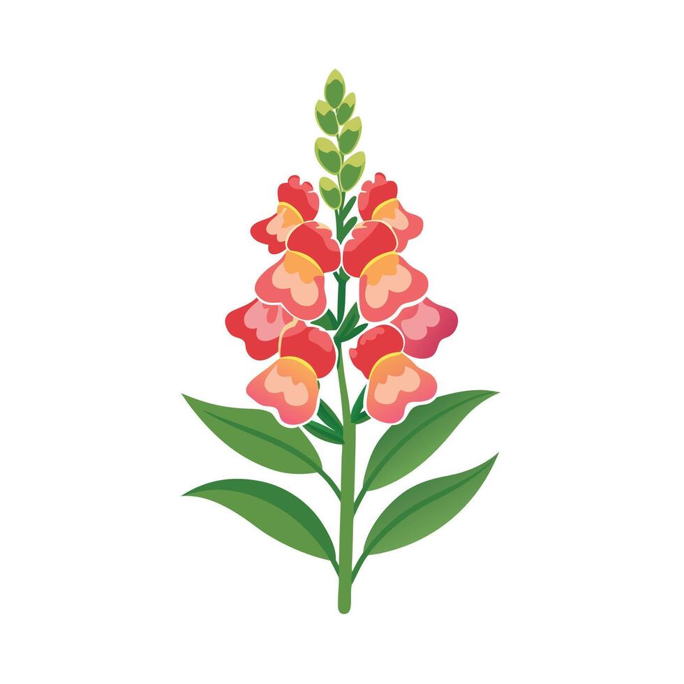 Beautiful Flower Minimalist Floral Illustration vector