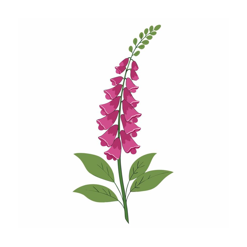 Beautiful Flower Minimalist Floral Illustration vector