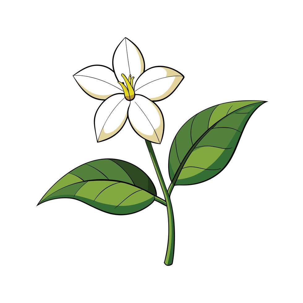 Beautiful Flower Minimalist Floral Illustration vector
