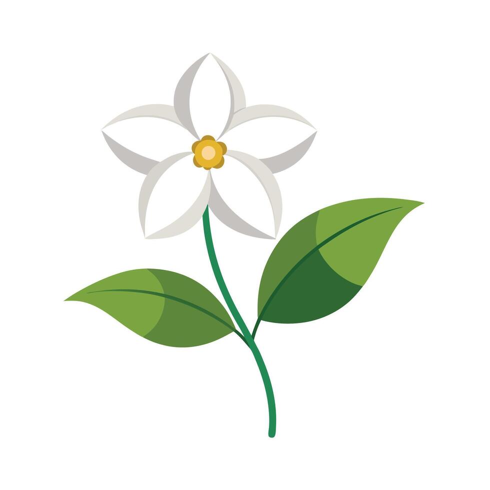 Beautiful Flower Minimalist Floral Illustration vector