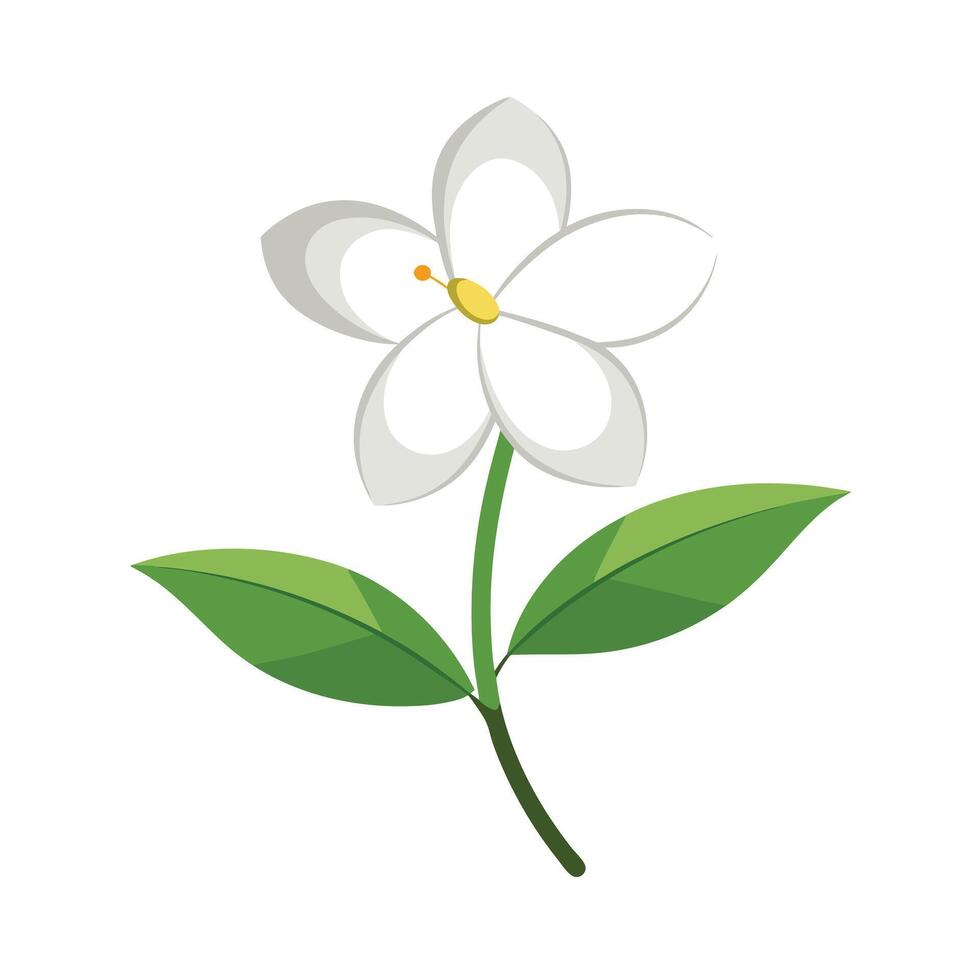 Beautiful Flower Minimalist Floral Illustration vector