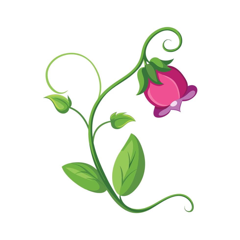 Beautiful Flower Minimalist Floral Illustration vector