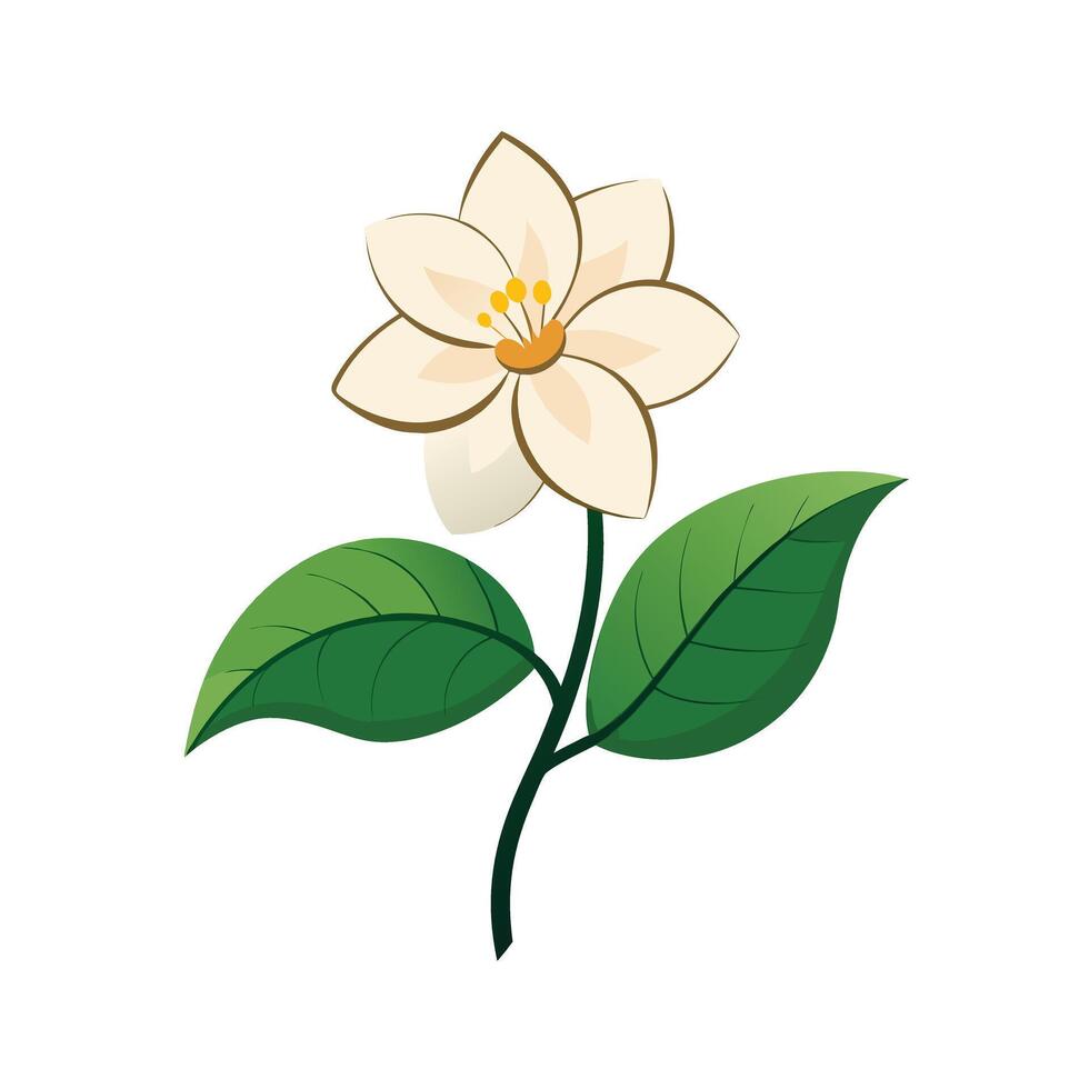 Beautiful Flower Minimalist Floral Illustration vector