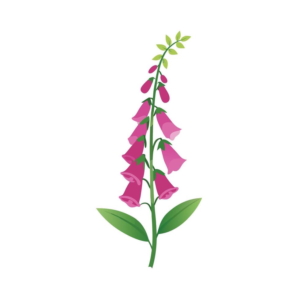 Beautiful Flower Minimalist Floral Illustration vector