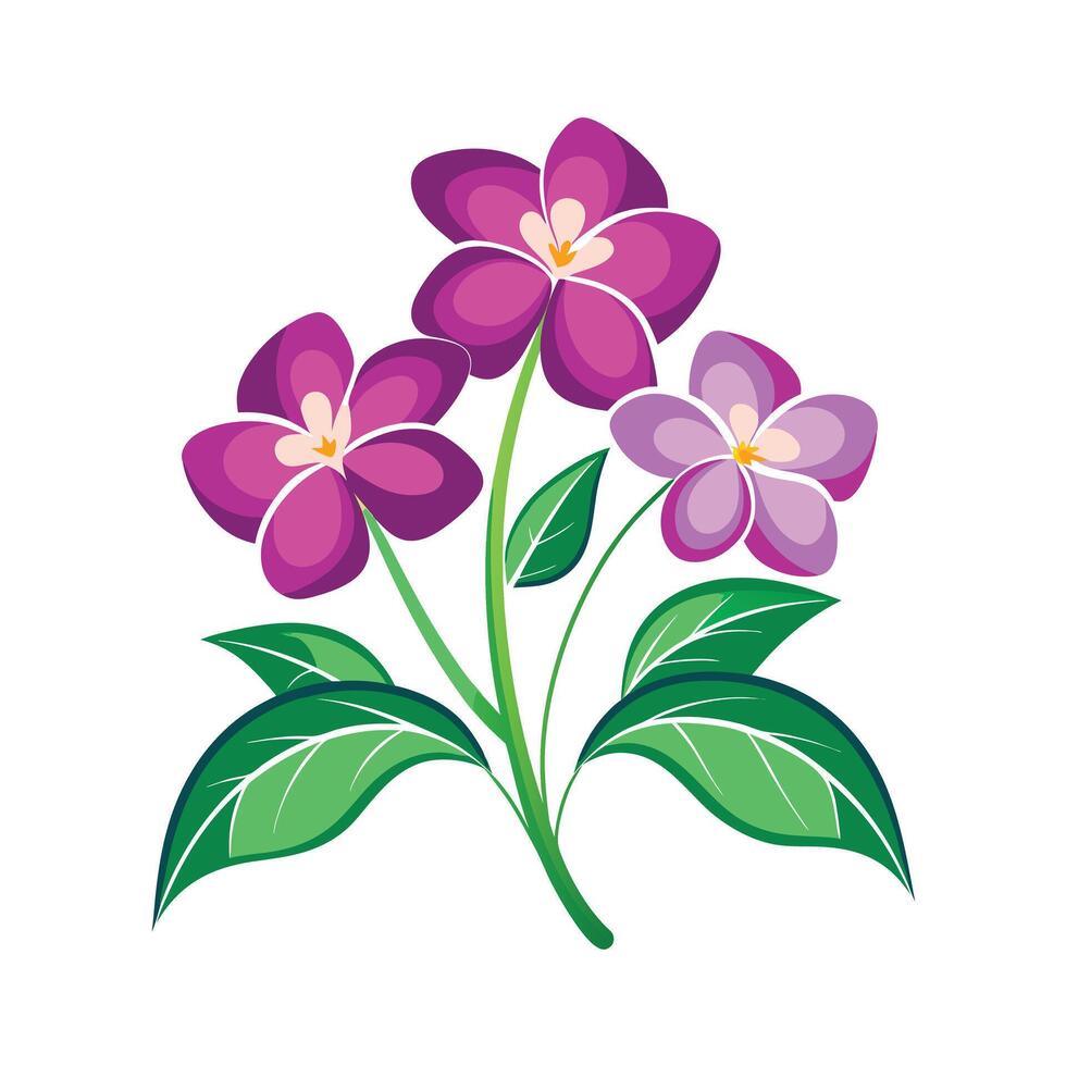Beautiful Flower Minimalist Floral Illustration vector