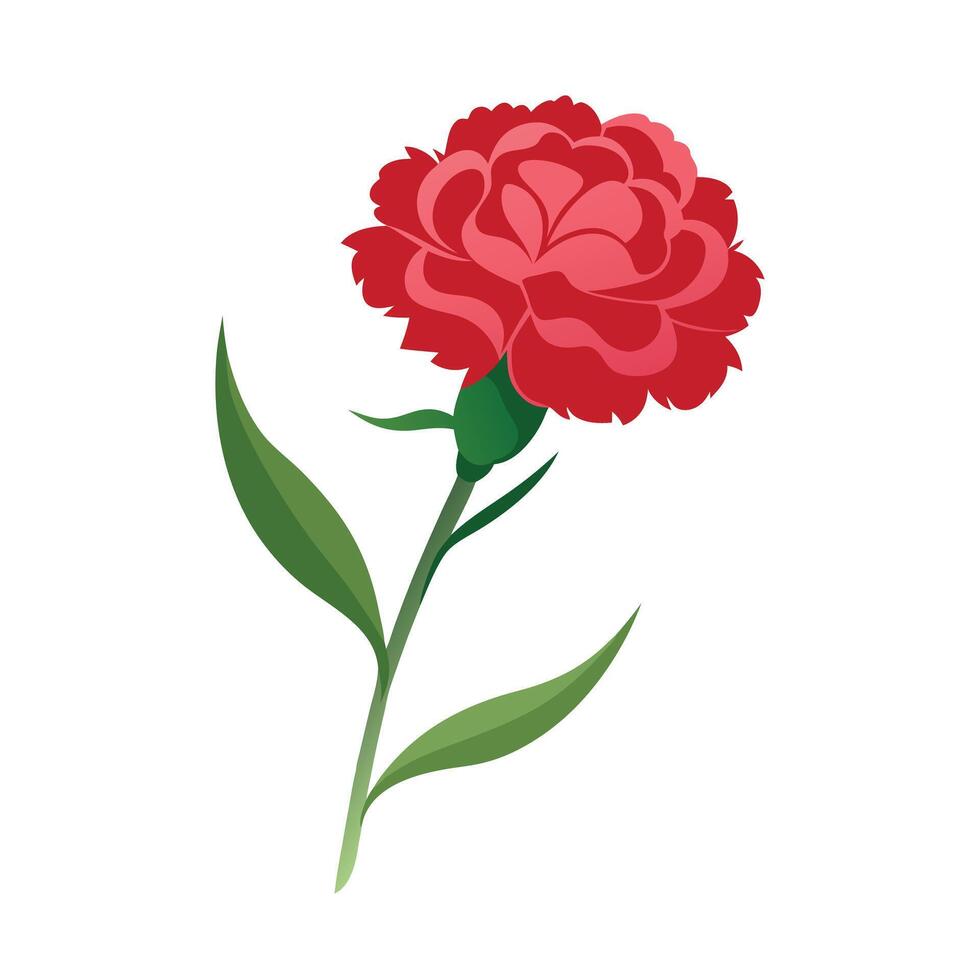 Beautiful Flower Minimalist Floral Illustration vector