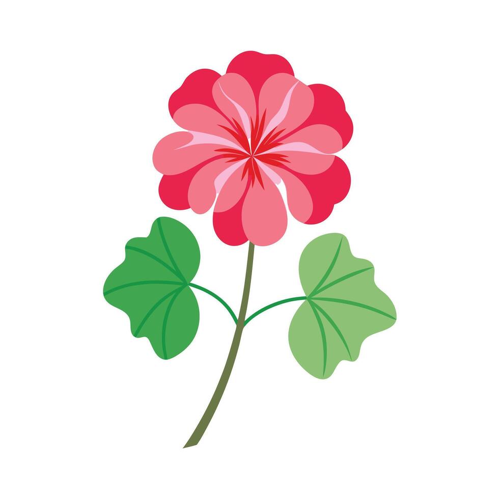 Beautiful Flower Minimalist Floral Illustration vector