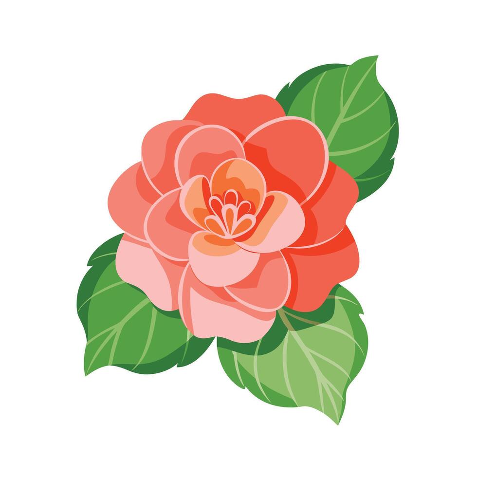 Beautiful Flower Minimalist Floral Illustration vector