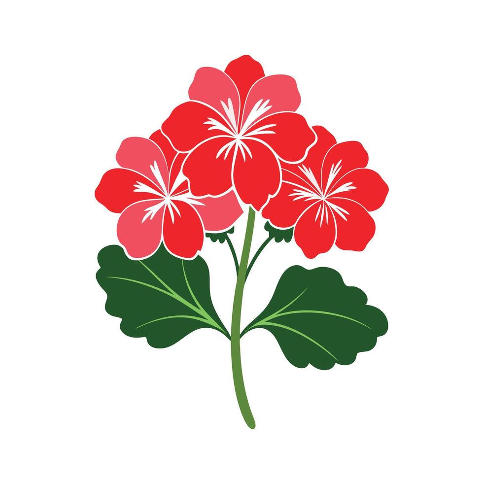 Beautiful Flower Minimalist Floral Illustration vector