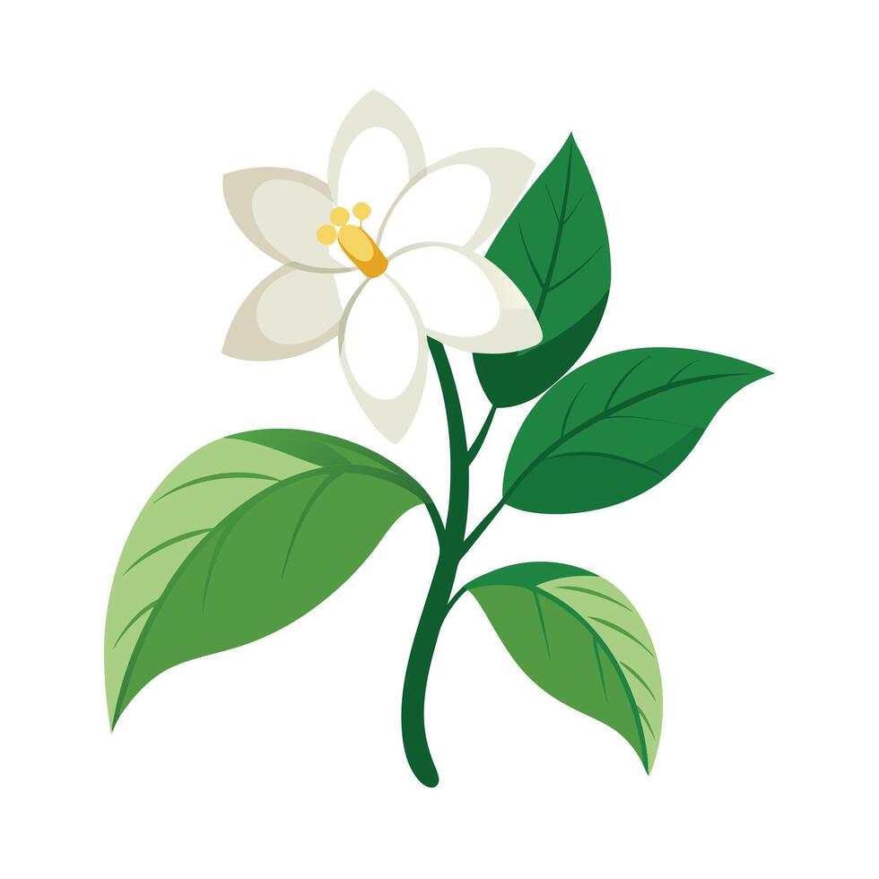 Beautiful Flower Minimalist Floral Illustration vector