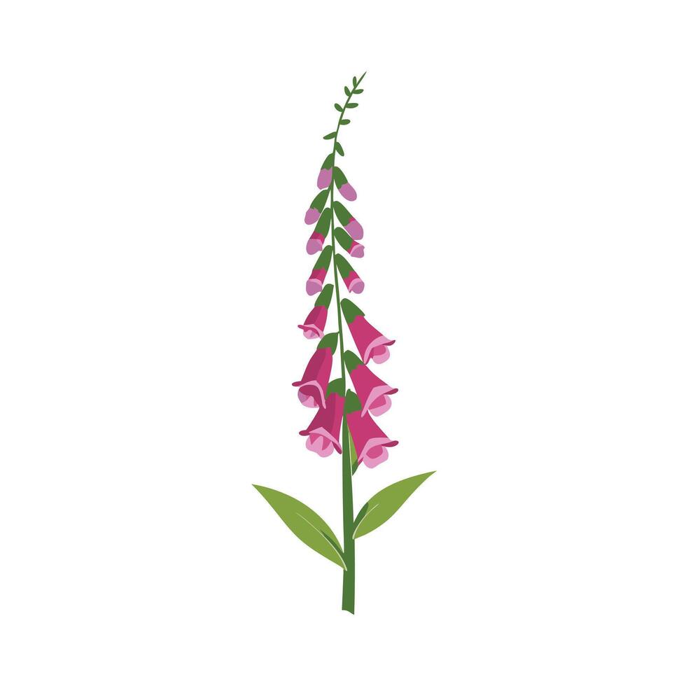 Beautiful Flower Minimalist Floral Illustration vector