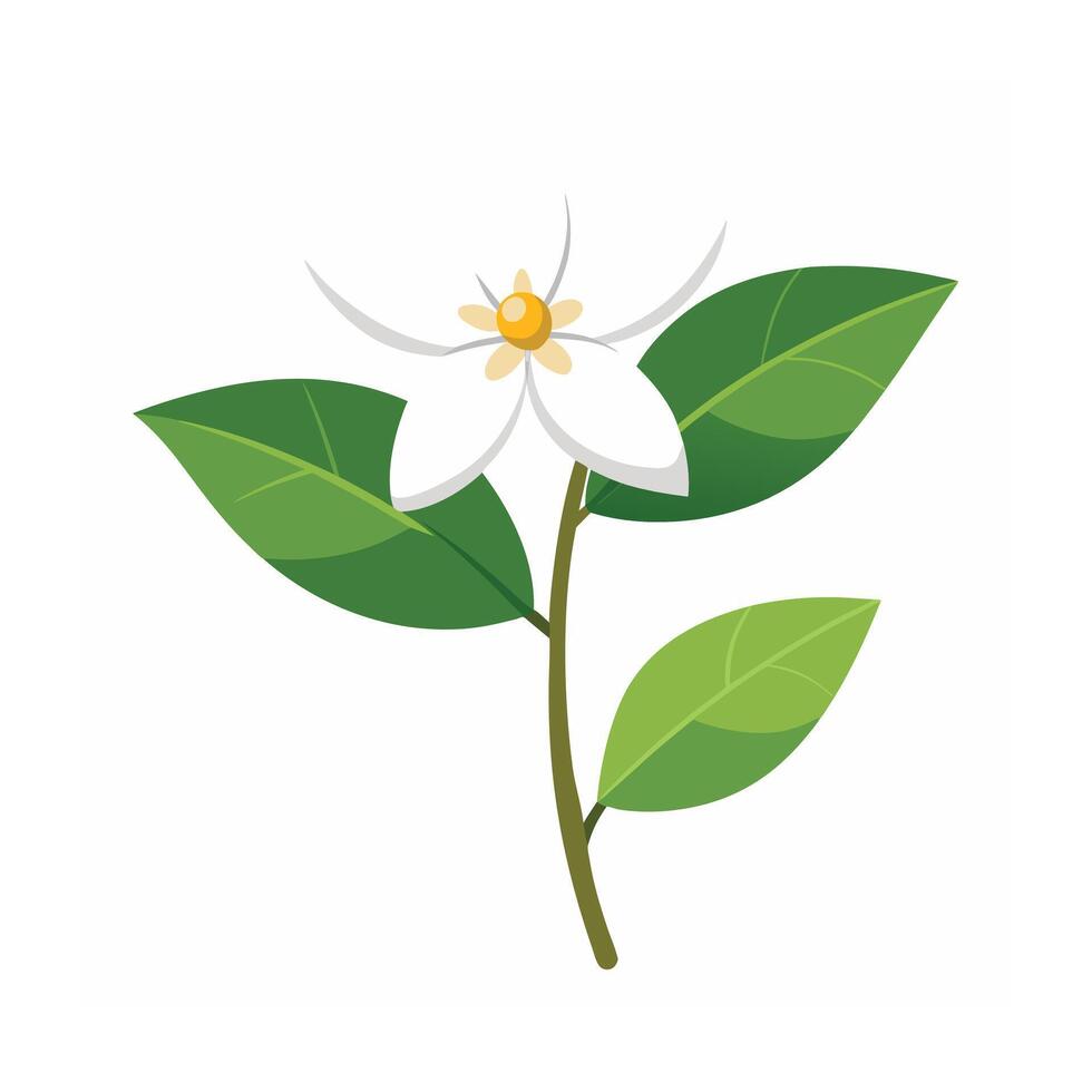 Beautiful Flower Minimalist Floral Illustration vector